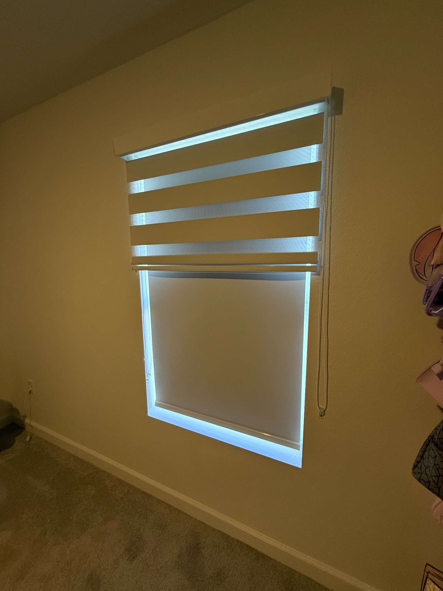 Zebra / Dual Shades installation by SunBlinds Miami